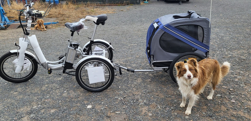 Fully Folding Electric Tricycle