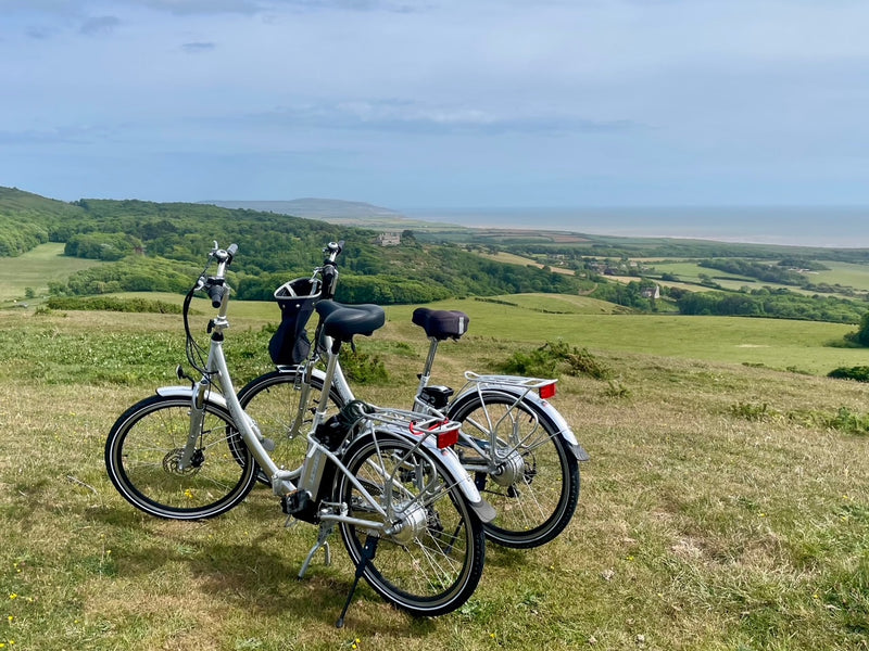 Electrobike Plus (26" wheels)